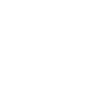 n5 ic manicure services.png